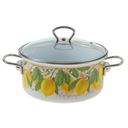 фото Кастрюля Vitross Limon 3 л