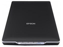 Сканер Epson Perfection V19