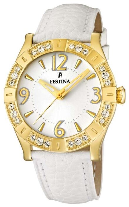 Наручные часы Festina F16580/1
