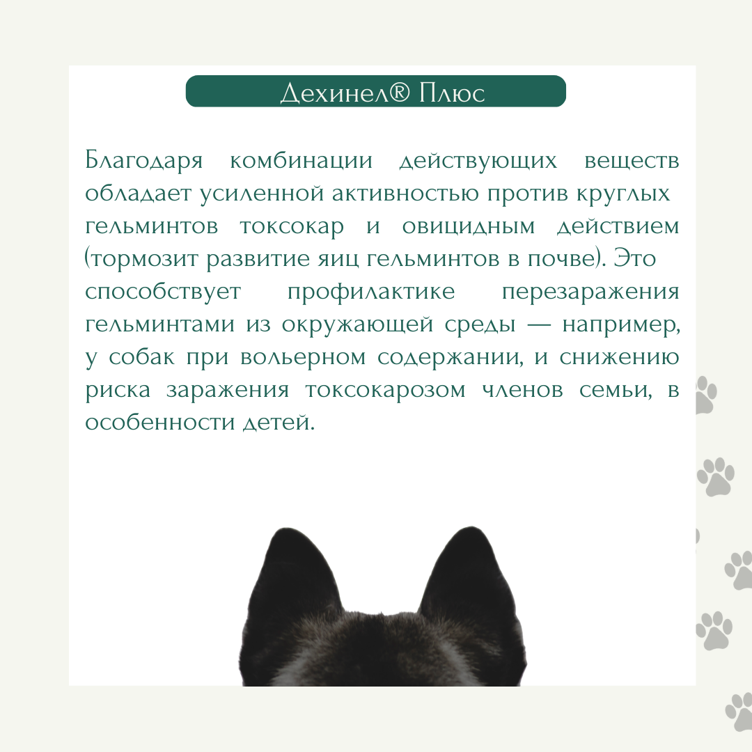 Антигельминтик для собак KRKA - фото №6