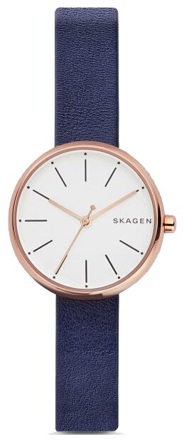 Наручные часы Skagen SKW2592
