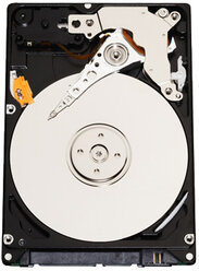 Жесткий диск Western Digital 500 ГБ WD5000BEVT