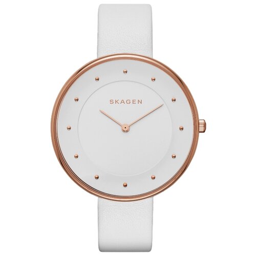 фото Наручные часы skagen skw2291