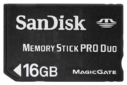 SanDisk Carte Memory Stick MS Pro Duo MagicGate Carte Mémoire Flash 128 Mo SDMSPD-128-E10 