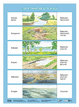 Плакат. Где в природе есть вода