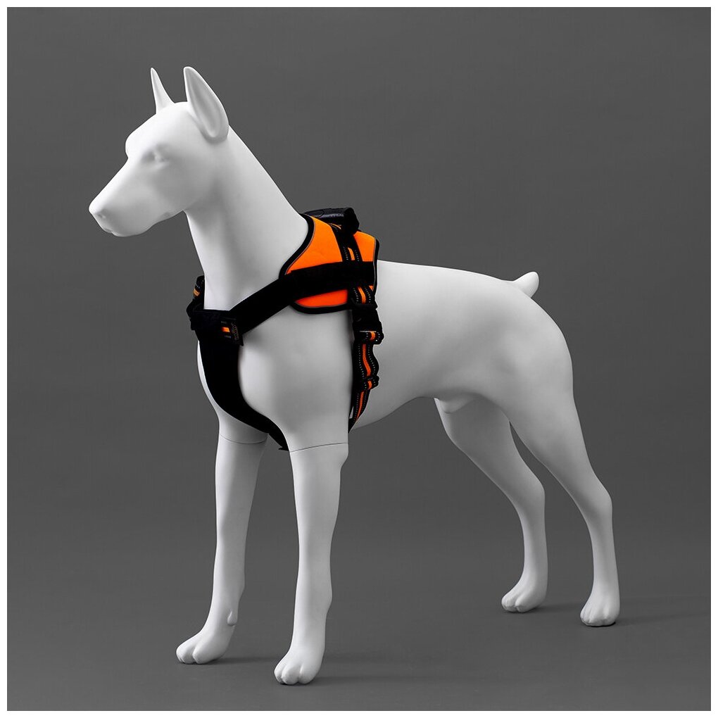 AFELLOW Манекен собаки "Доберман", белый, 103х87.5см - фото №10