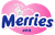 Логотип Эксперт Merries