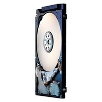 Жесткий диск HGST 500Gb (HTS545050A7E380)