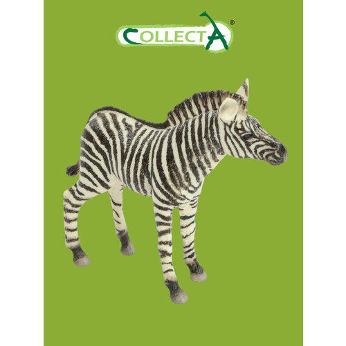 фото Фигурка лошади collecta, жеребенок зебры