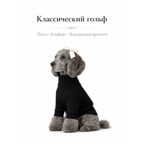 фото Водолазка/свитер классический, одежда для собак в черном цвете, размер s/m la brioche