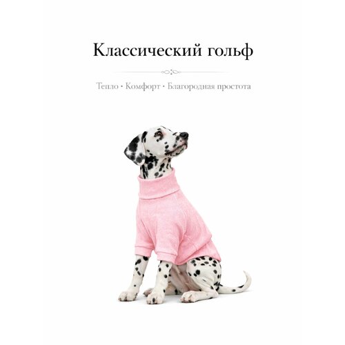 фото Водолазка/свитер классический, одежда для собак в розовом цвете, размер 3xs la brioche