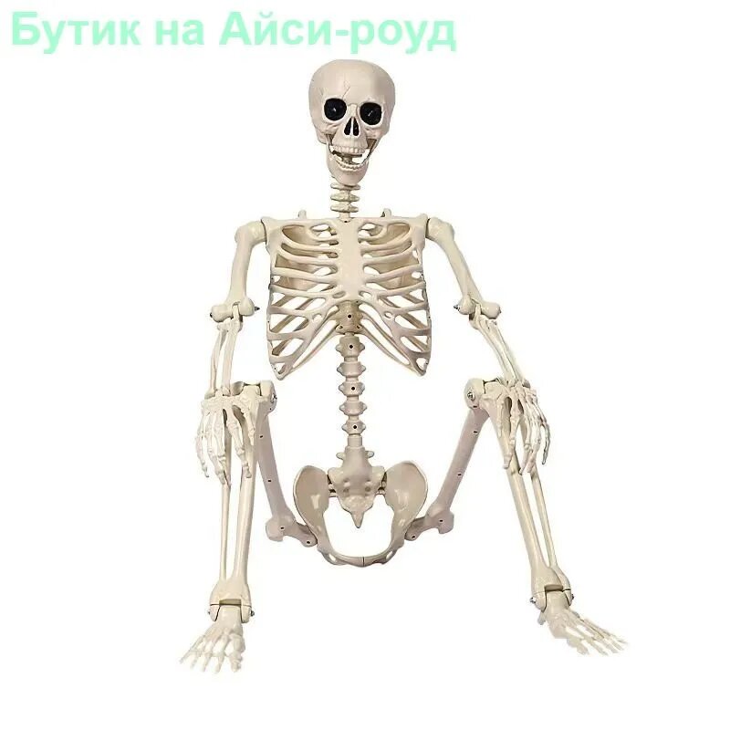 Скелет человека 170 см, анатомическая модель, декор для Хэллоуина