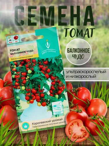 Изображение товара Семена Томат «Балконное чудо», ультраскороспелый, детерминантный, 15 шт, «Евро-семена»
