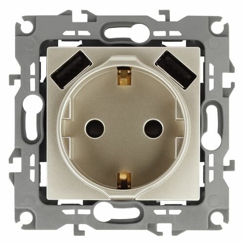 Розетка 16А 250В 2P+E с 2хUSB 5В-3А защ. шторки Эра12 шампань 12-4109-04 ЭРА Б0047843