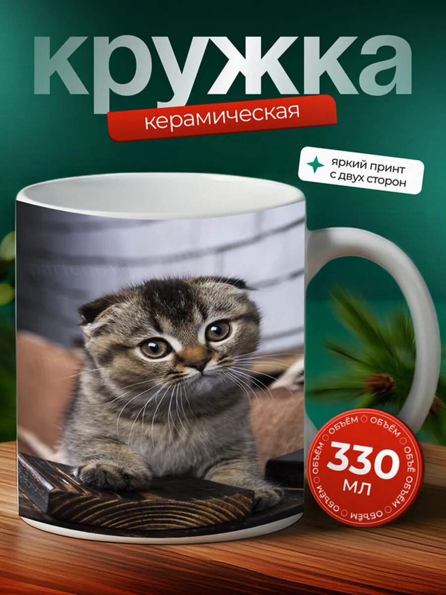 Кружка Шотландская вислоухая кошка 52,