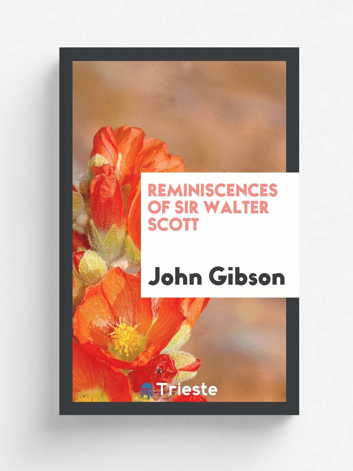 Reminiscences of Sir Walter Scott