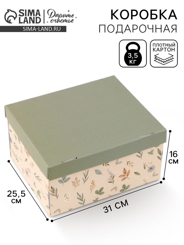 Коробка складная Зелёная, 31 х 25,5 х 16 см