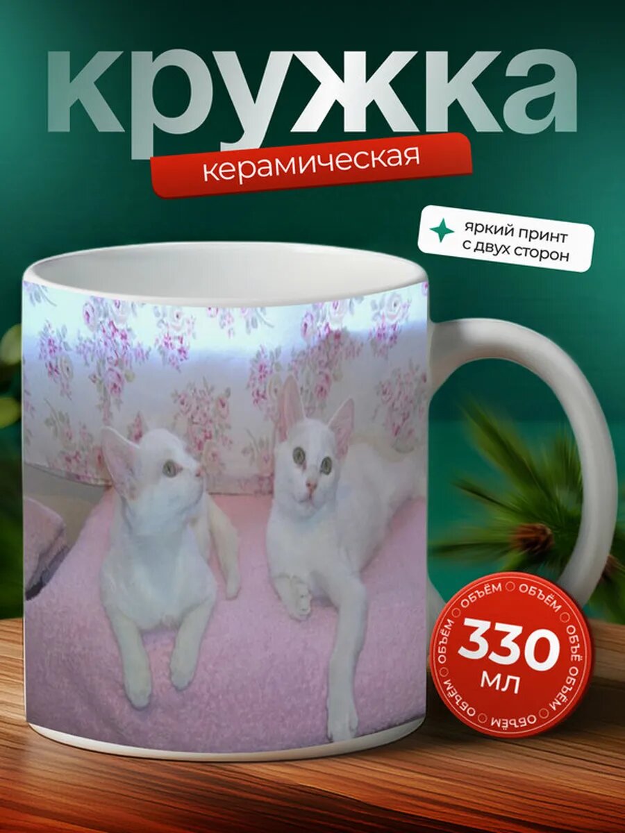 Кружка Спайс кот 45,