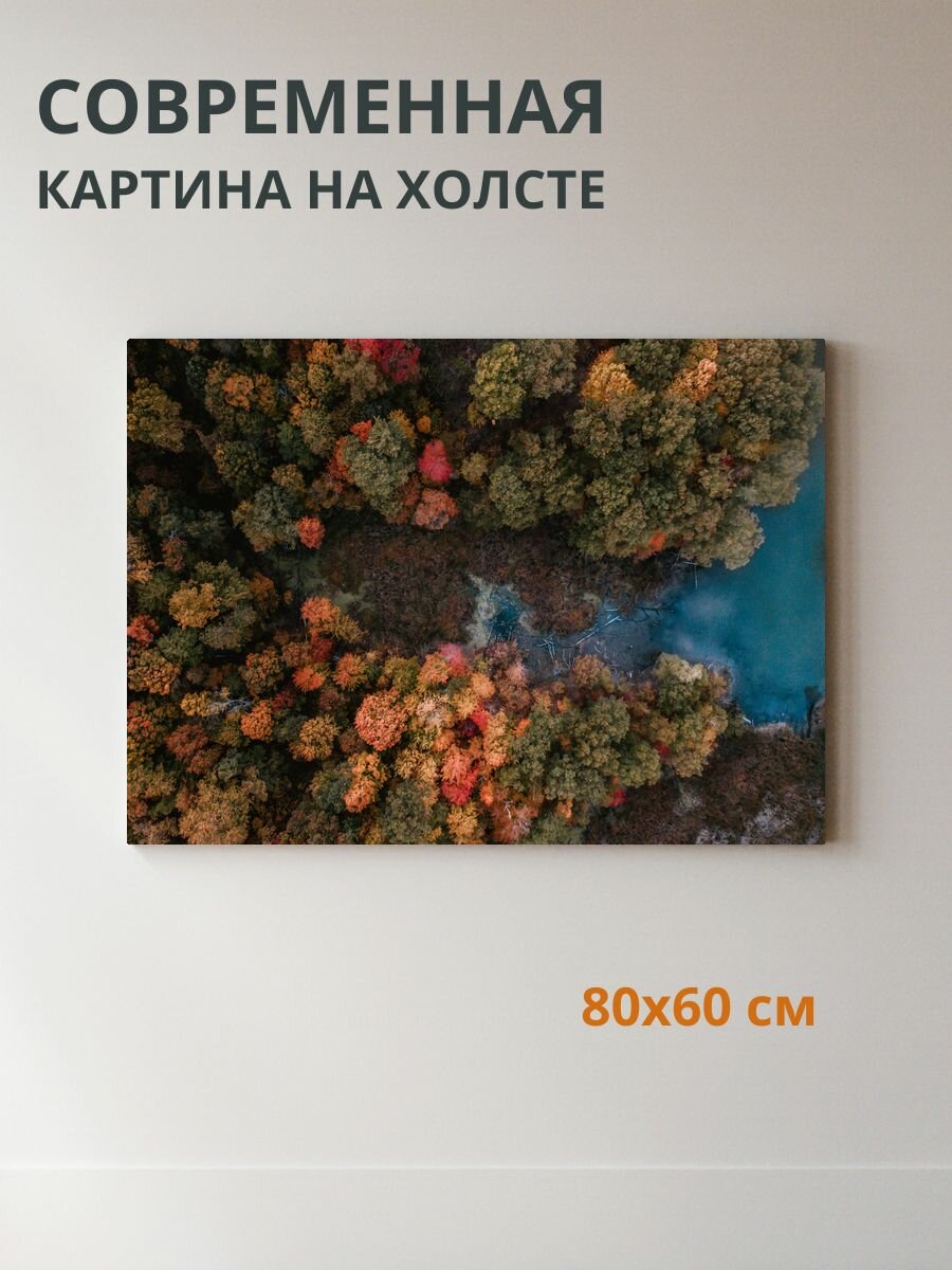 Картина на холсте Лесной пейзаж 80x60 см