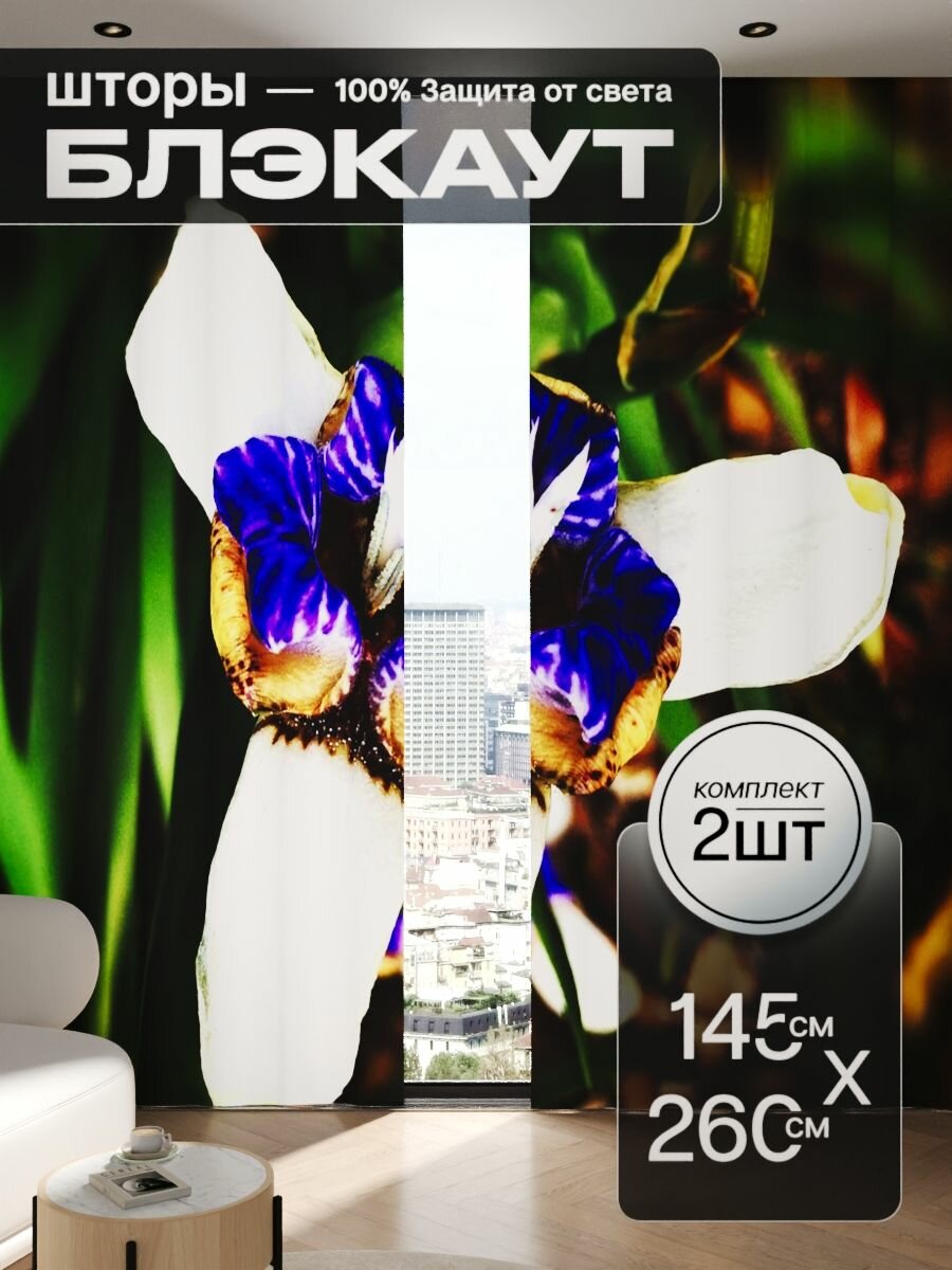 Шторы блэкаут 145x260 см 2 шт на окна плотные комплект