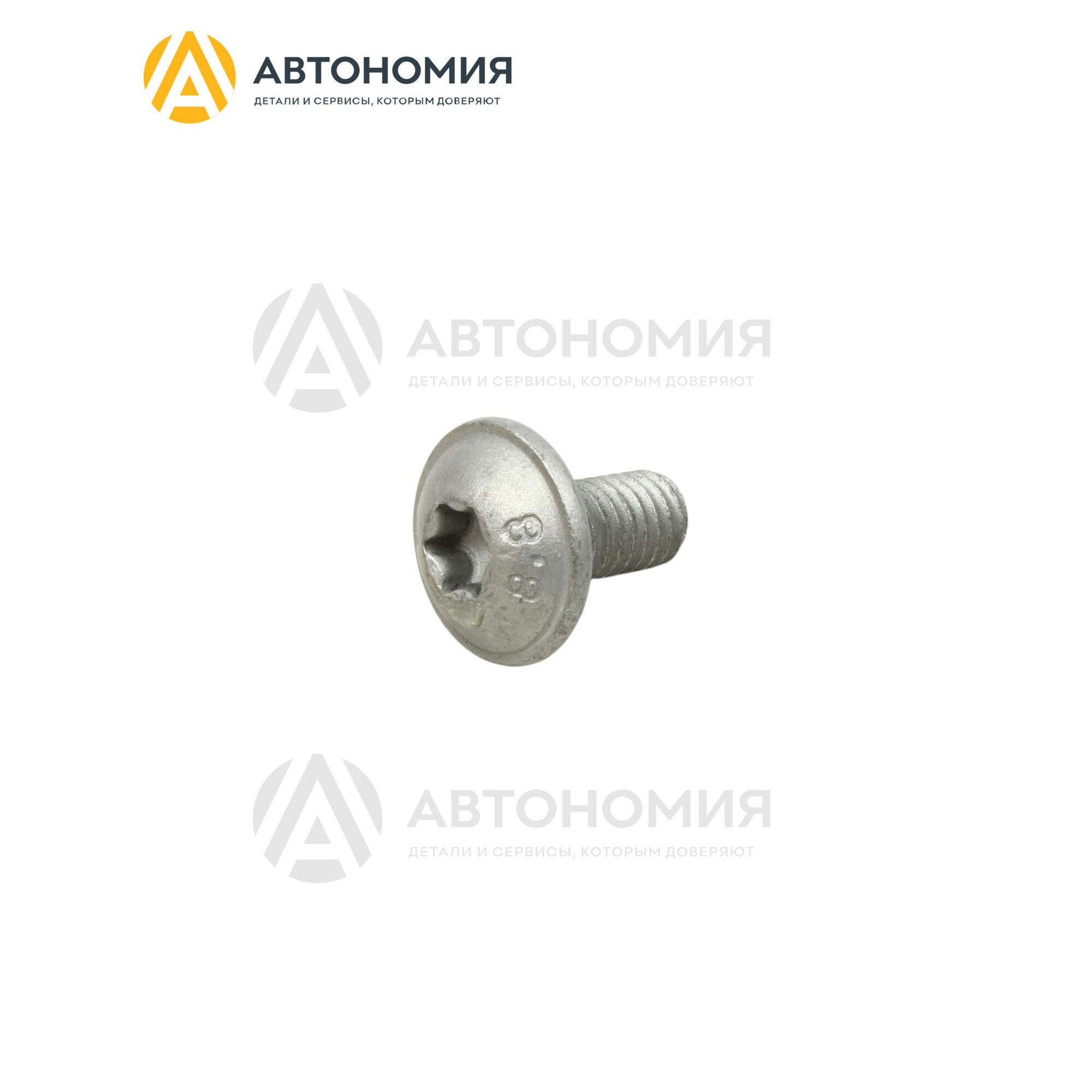 Винт с полукруглой головкой с внутренним torx M6x12 VAG N 910 733 01