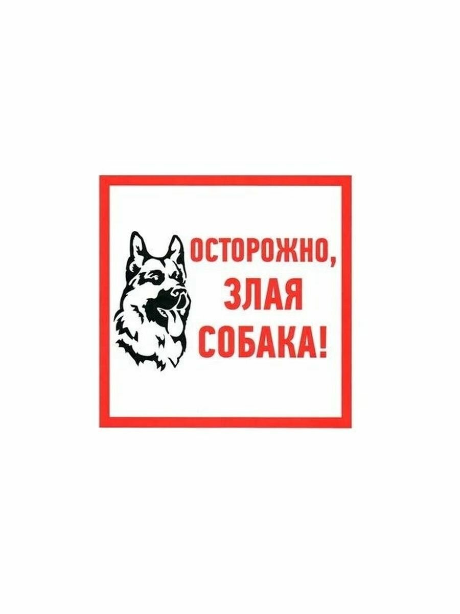 Информационный знак "Осторожно, злая собака!" 200х200 мм, наклейка