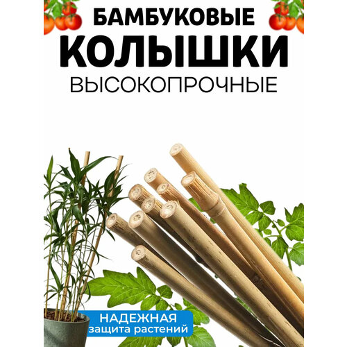 фото Палка-опора бамбуковая для растений "plant! t", 90 см, 5 шт. plantit