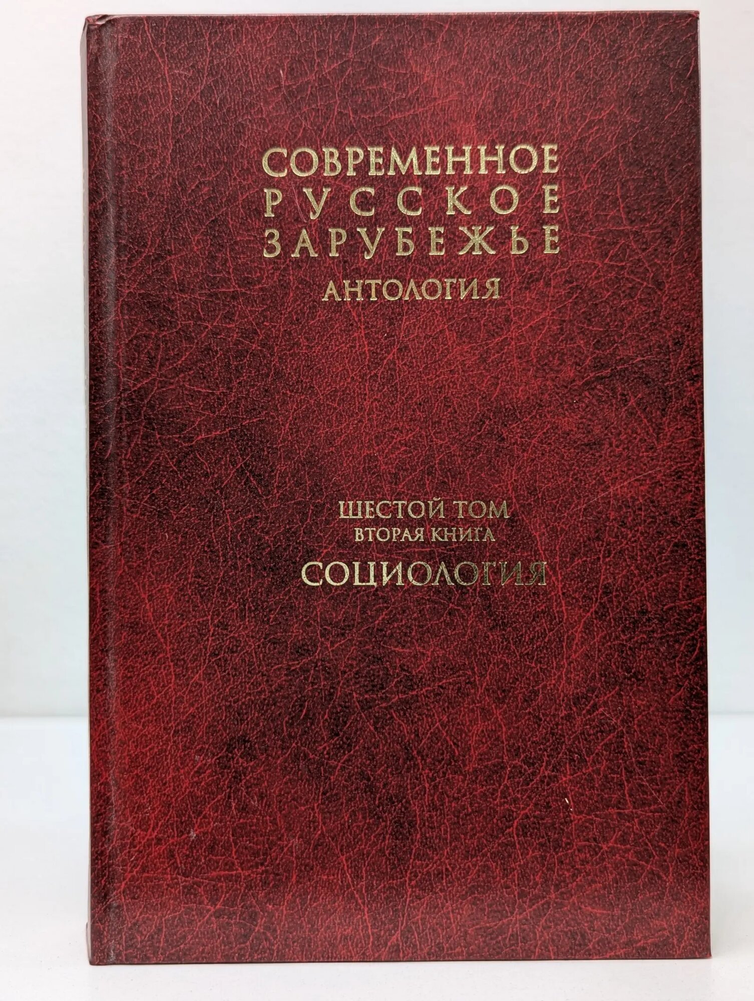 Современное русское зарубежье. Антология в 7 томах. Том 6. Книга 2. Социология Сборник 2010
