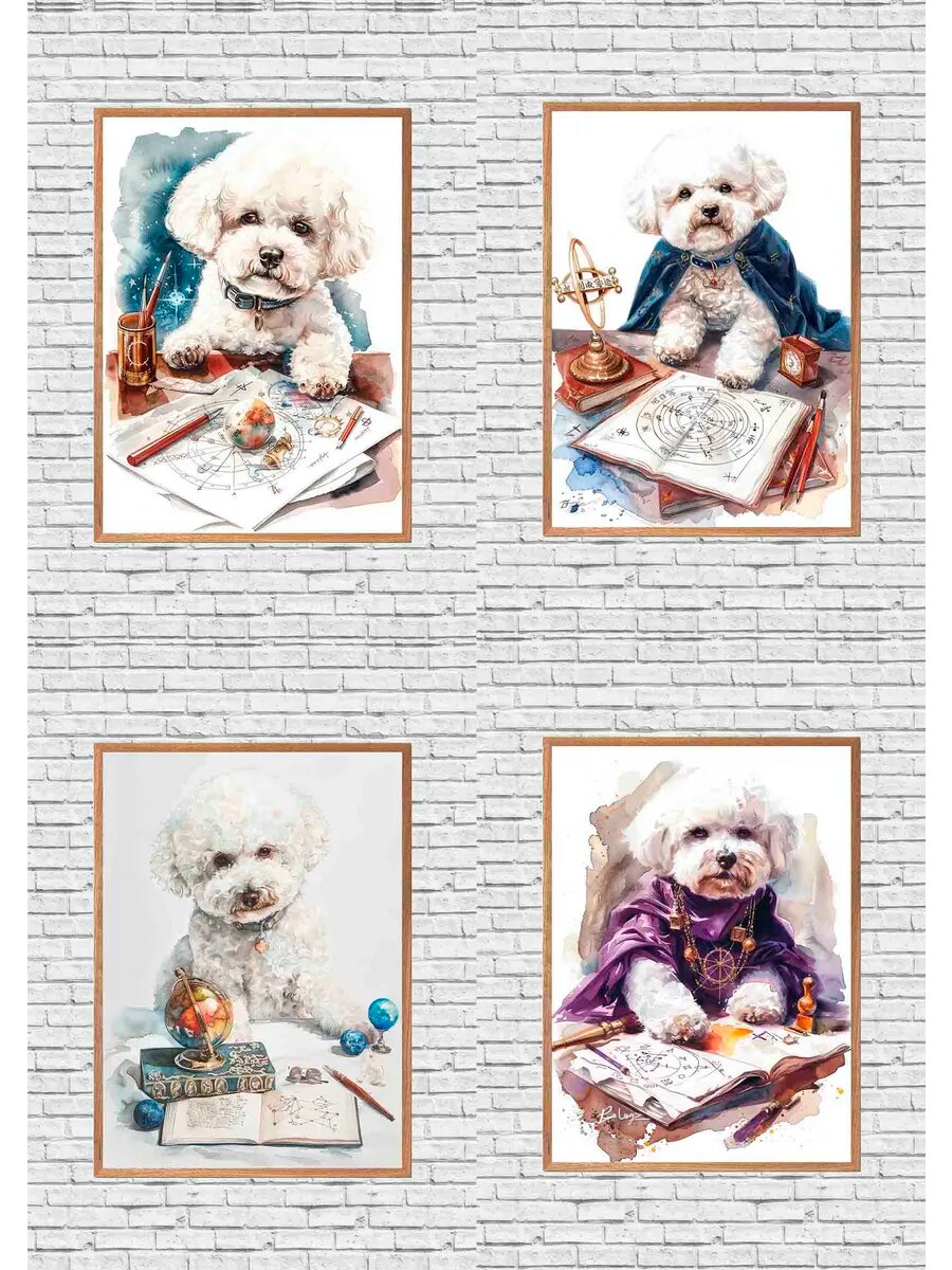 Бишон-Фризский собачий астролог, 4 Плаката, 30x21см