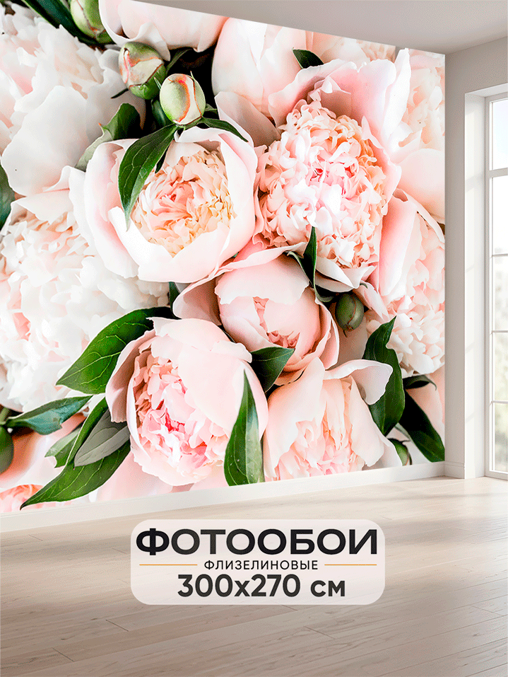Фотообои Розовые пионы