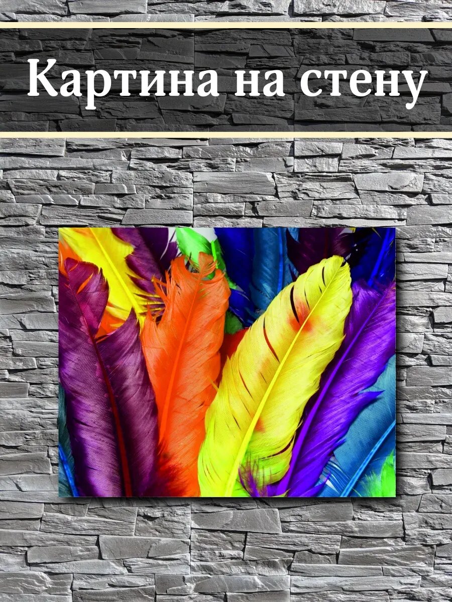 Картина на стену Красочные перья