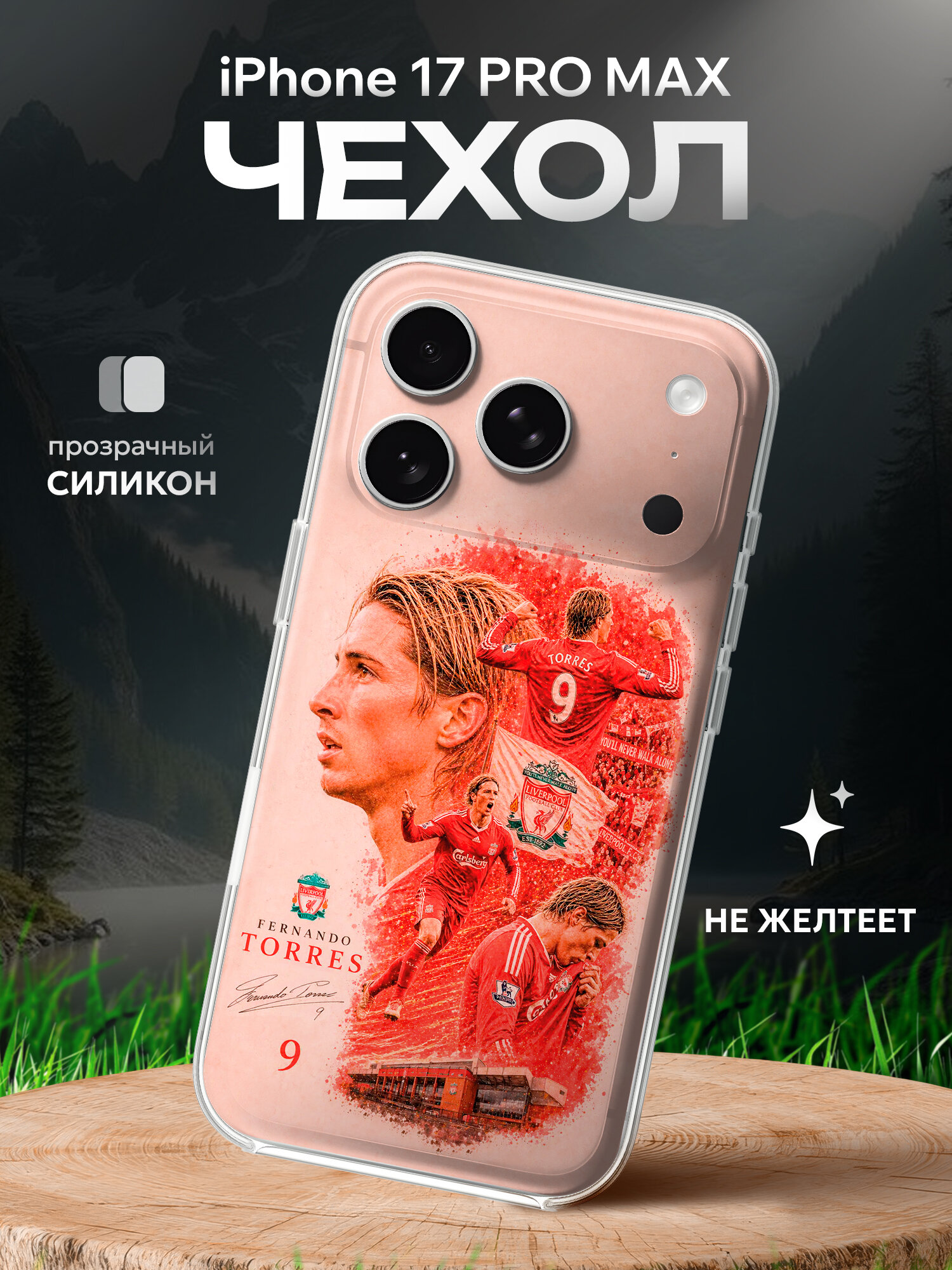 Чехол на Iphone 17 PRO MAX футболист Фернандо Торрес