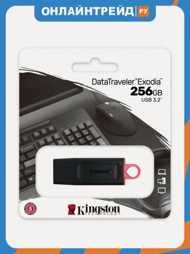 Изображение товара USB флешка Kingston 256Gb DTX/256Gb USB 3.2 Gen 1 (USB 3.0)