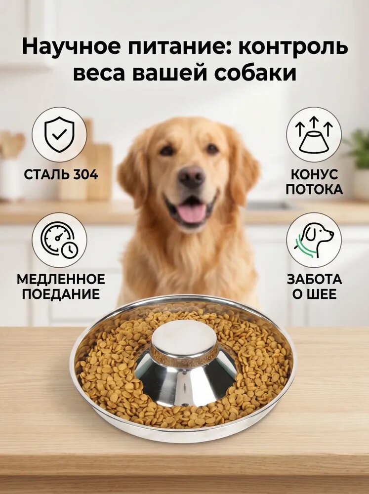 Кормушка для собак, нержавеющая сталь, легкая чистка, для щенков