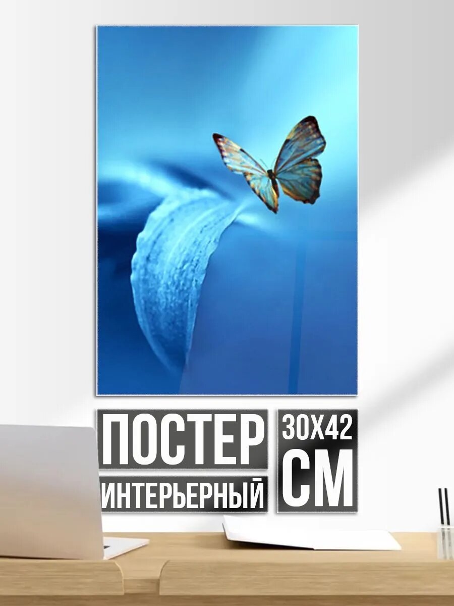 Постер на стену Бабочка 2