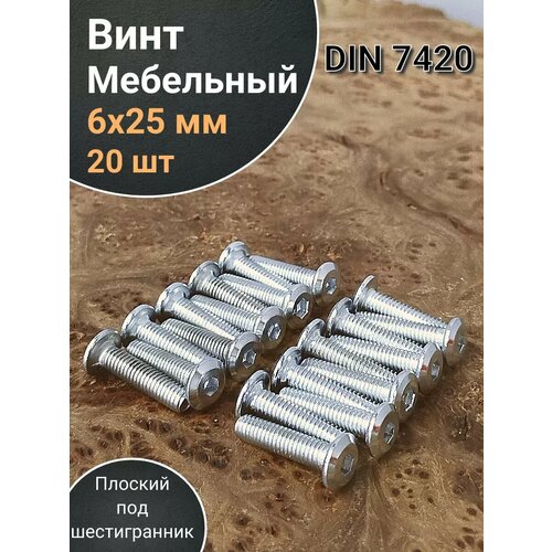 фото Винт мебельный 6х25 плоский под шестигранник din7420,20 шт 23 болта