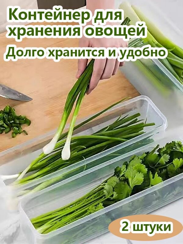 Контейнер пищевой 2 шт пластик