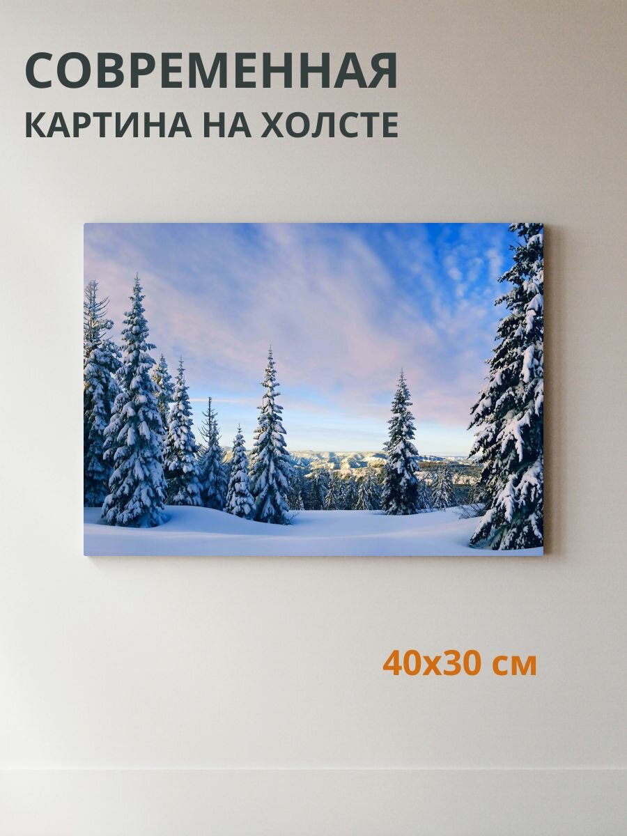 Картина на холсте Лесной пейзаж 40x30 см