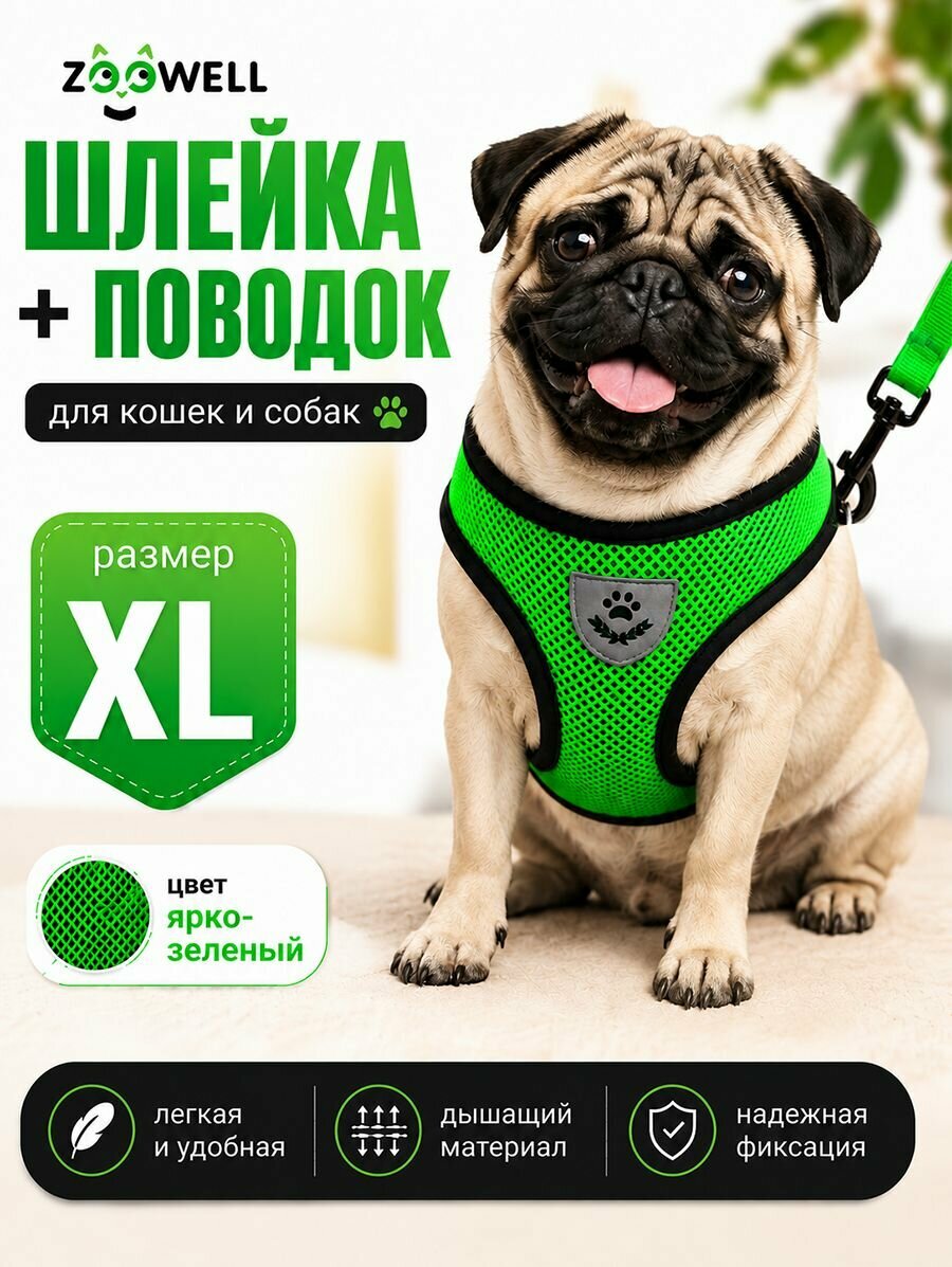 Шлейка и поводок для кошек и маленьких пород собак ZOOWELL, размер XL, зеленая