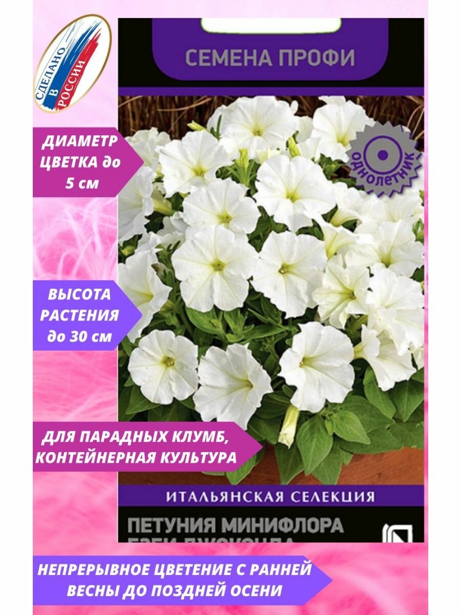 Петуния минифлора Бэби Джоконда Вайт, Семена Профи, 10 шт.