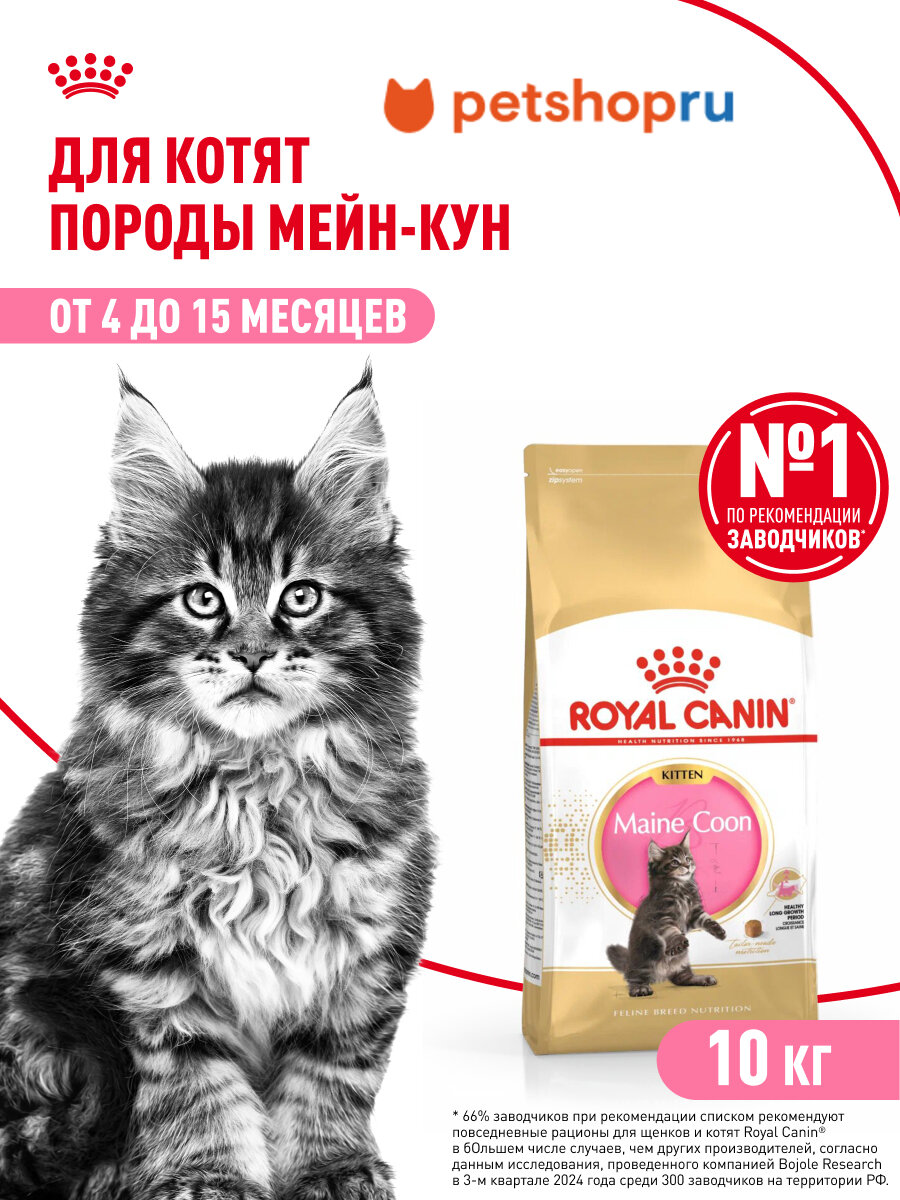 Royal Canin Корм сухой сбалансированный для котят породы Мэйн Кун, Maine Coon Kitten