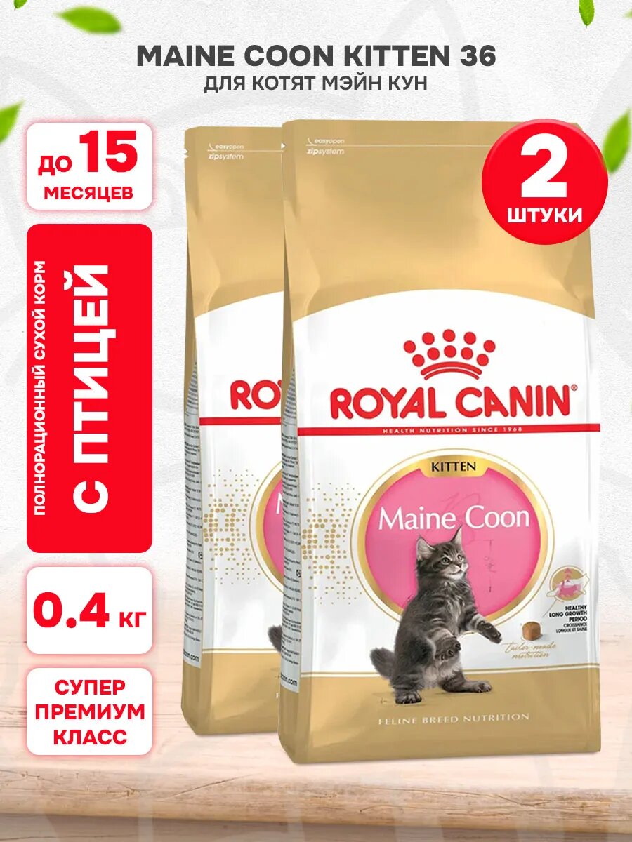 Корм сухой Royal Canin Maine Coon Kitten 36 для котят мэйн кун, 400 г х 2 шт