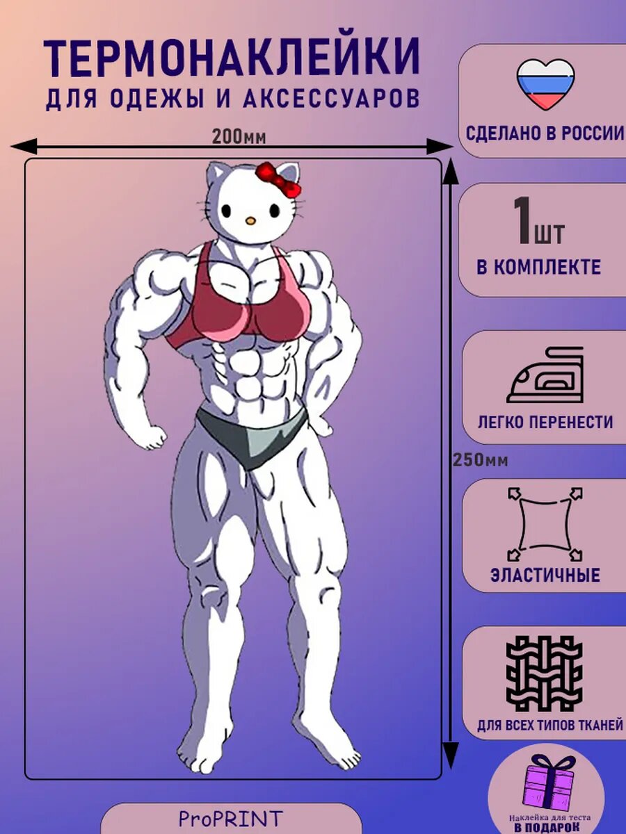 Термонаклейка для одежды