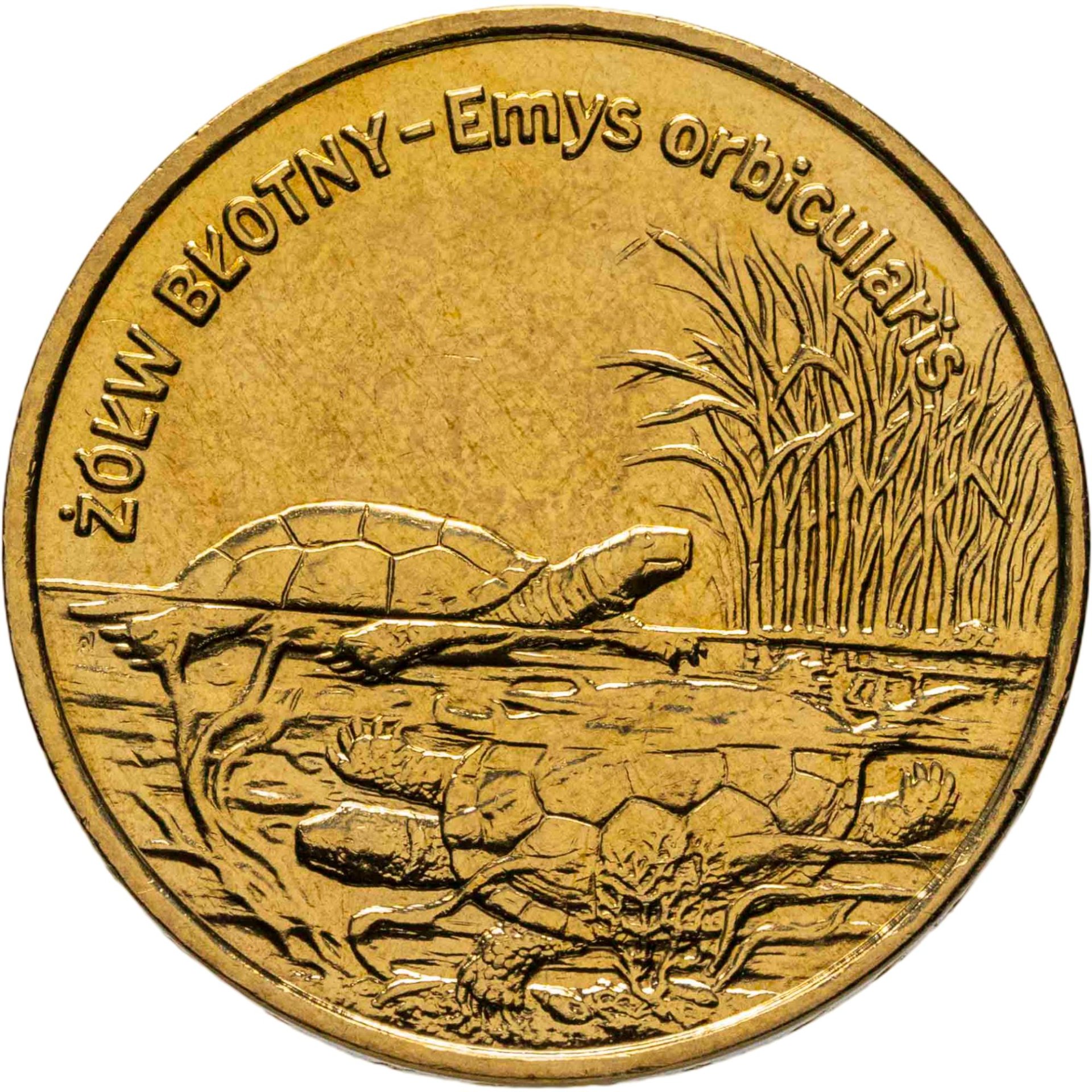 Польша 2 злотых 2002 "Болотная черепаха", Латунь, в сохранности UNC