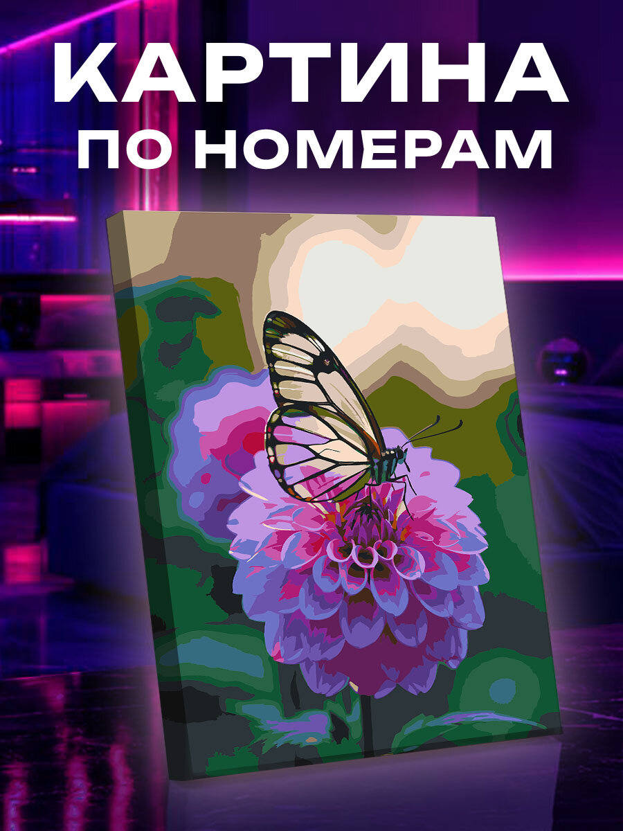Картина по номерам Бабочка