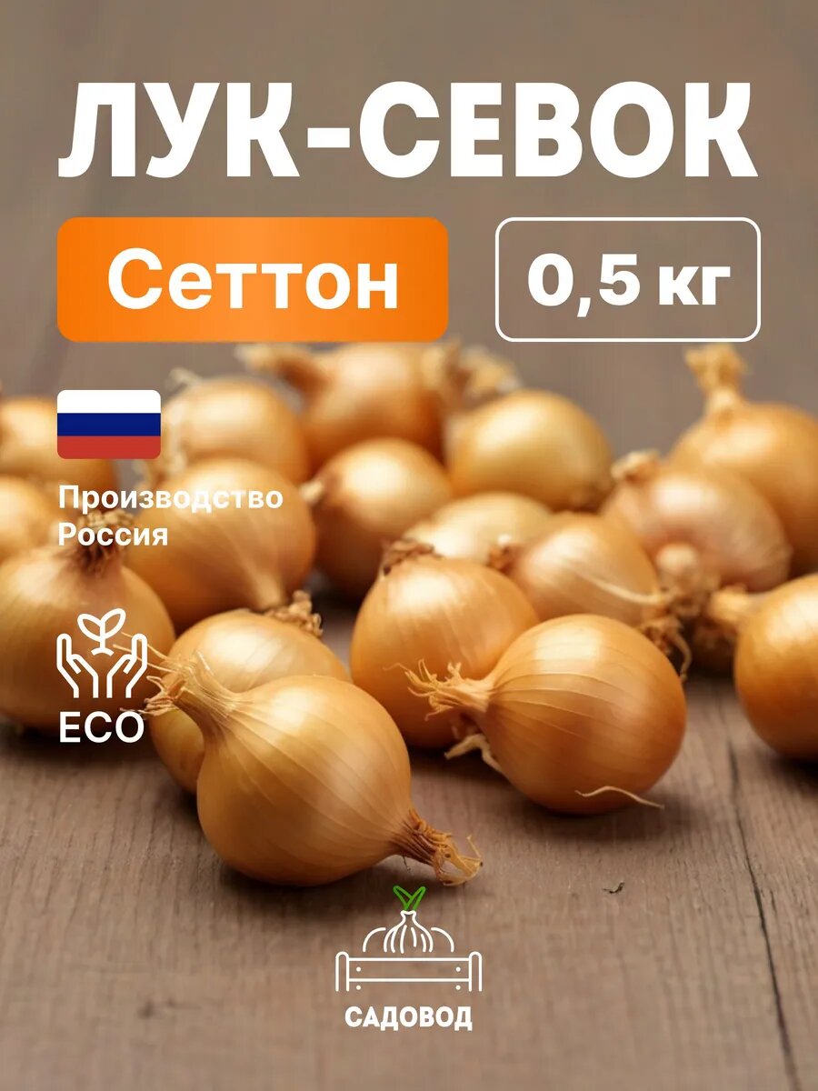 Лук севок Сеттон 0,5 кг на посадку осенью