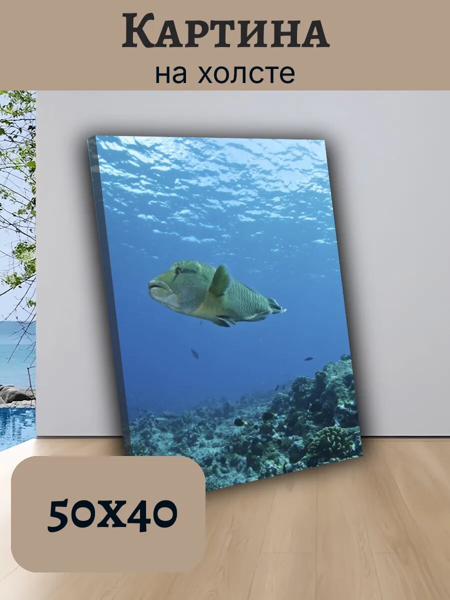 Картина Постер Мальдивы Maldives 40x50 подводный мир с рыбой