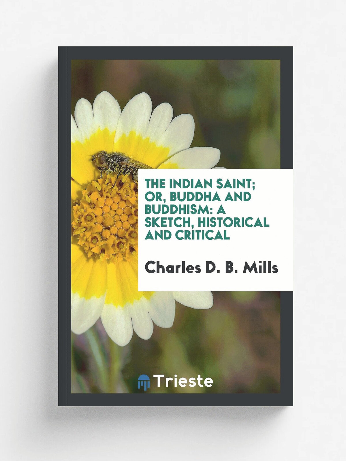 The Indian Saint; Or, Buddha and Buddhism. A Sketch, Historical and Critical