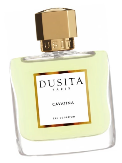 Parfums Dusita Cavatina аромат для женщин 100 мл - Дусита Каватина духи