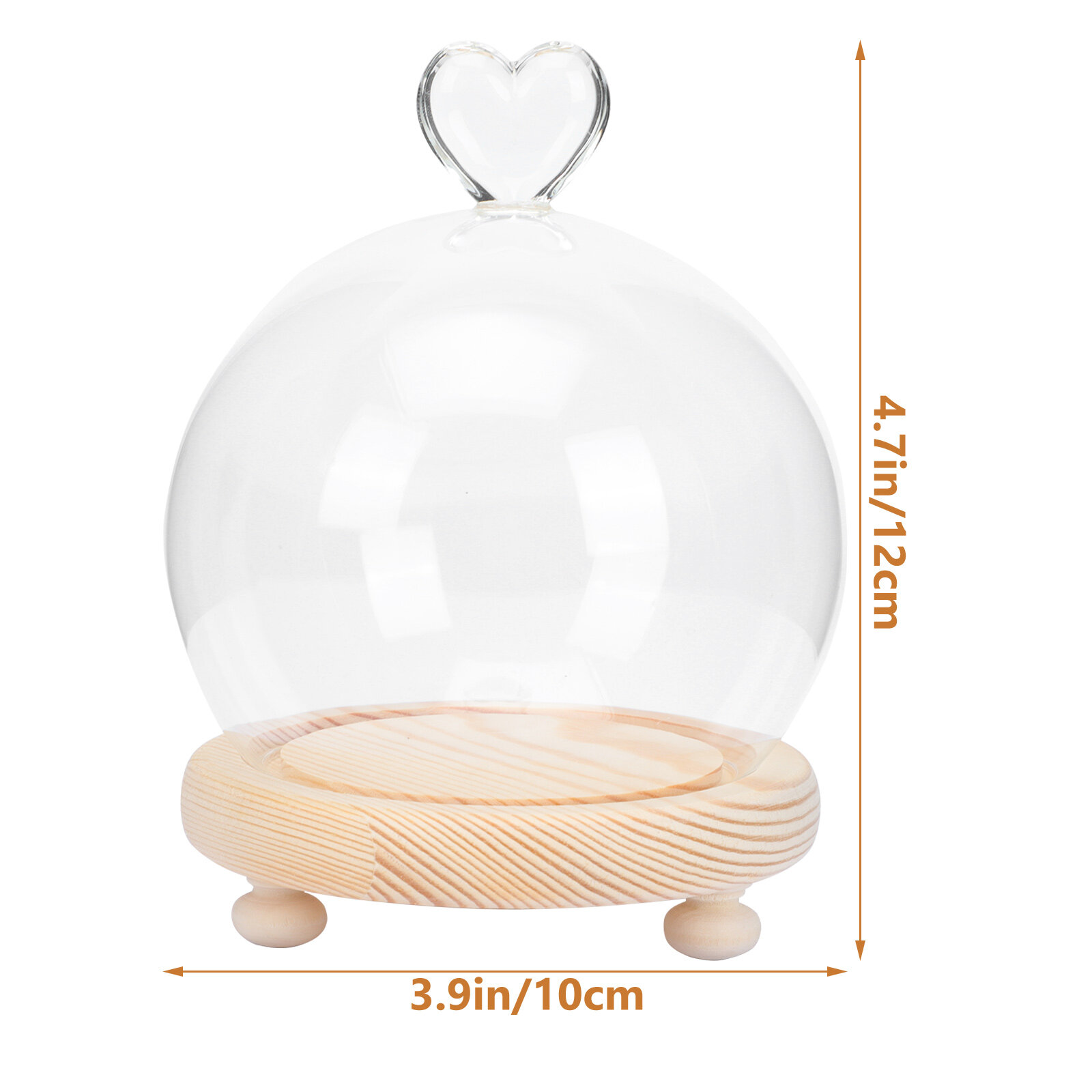 Креативное Украшение С Цветами В Стеклянном Колпаке 1 Шт Прозрачный 12x10cm